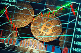 The Future of Investments Crypto Trading Software Bot